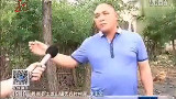藏獒挣脱锁链咬人 猛男徒手将狗打死